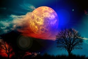 moon tree clouds wallpaper kahl