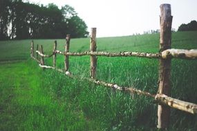 field fence farm country green