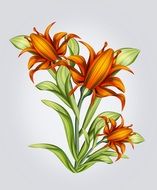 drawing of orange flowers