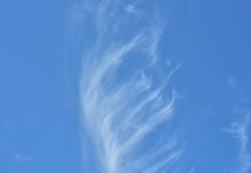 light clouds on the blue sky