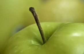 macro detail close apple green