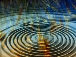 collage rings grain halme water