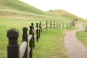 landscape field fence wood green