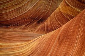 sandstone the wave rock nature