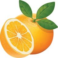 orange design color bright yellow