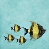 fischer water swim background