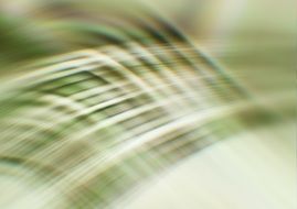 abstract pattern of unclear green lines