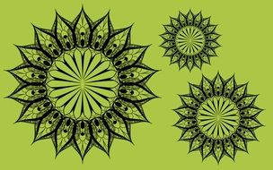 mandala flowers on a green background