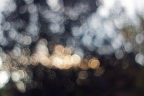 bokeh lights blurred background