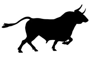 bull animal cow symbol nature