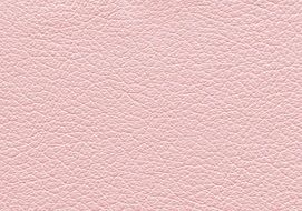 texture background rosa leather