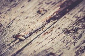 rustic wood texture