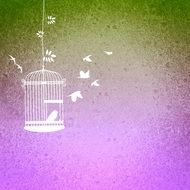 bird cage birds background