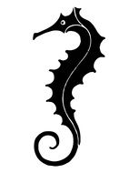 seahorse black silhouette art sea