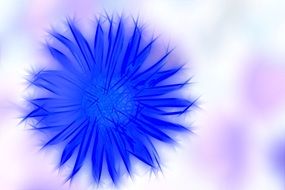 wallpaper with graphic cornflower