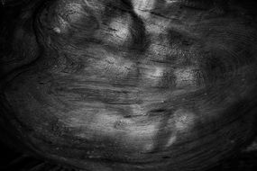 wood grain texture dark black