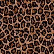 brown color leopard animal texture
