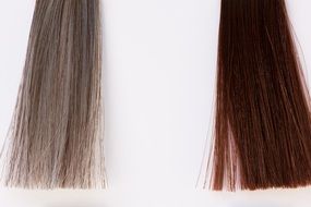 Two strands of hair
