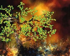 backdrop background tree abstract