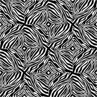 zebra skin design