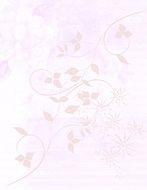 soft pink background curls leafs