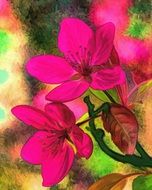 drawn pink flowers