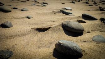 rocks beach wind sand ocean