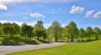 graves cemetery sky tree natur