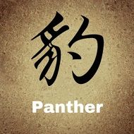 panther into chinese on the sandy background