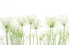 plants background nature factory