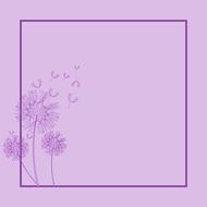 dandelions flowers art card purple