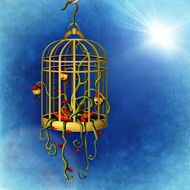 cage plant flowers nature