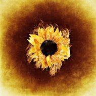 sun flower watercolor background