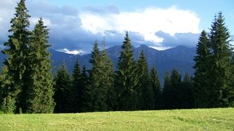 background poland mountains