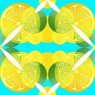 lemon lime citrus pattern