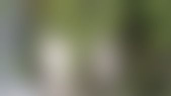 defocus blur blurred defocused