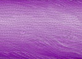 purple texture design