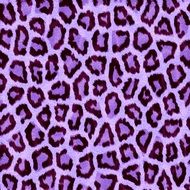 lilac color leopard animal texture