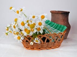 daisies basket weaving pot jug