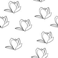 pattern of seamless magnolia flower