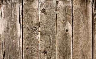 wood texture background old brown