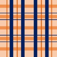 plaid design salmon navy blue