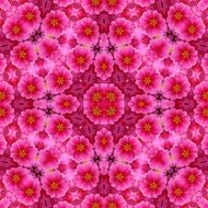 background with bright pink flowers