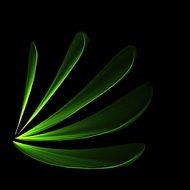 leaves green bright abstract
