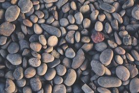 pebbles stones ground material