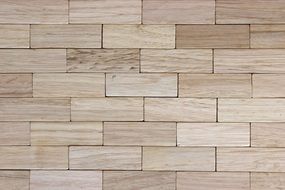 pattern ground wood stones nature