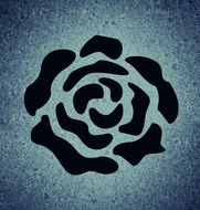background image of black rose flower