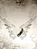 background heart wings paper