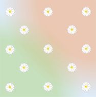 daisy design pattern floral flora