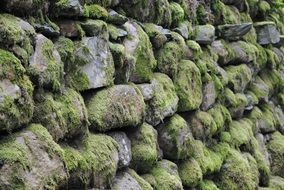 stone moss green nature rock old